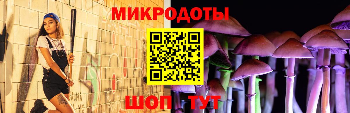 Выкса  купить  сайты  Вход с VPN  Псилоцибиновые грибы мицелий  Галлюциногенные грибы GOLDEN TEACHER 